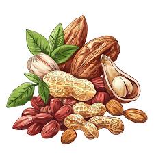 Legumes & Nuts
