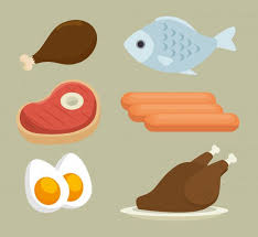 Protein
